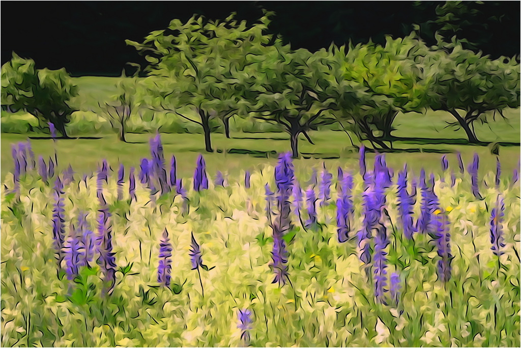 Print In Class M By Art Yost For Sugar Hill Lupine Fantasy JAN-2019.jpg